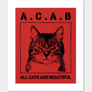 All Cats Are Beautiful Posters and Art